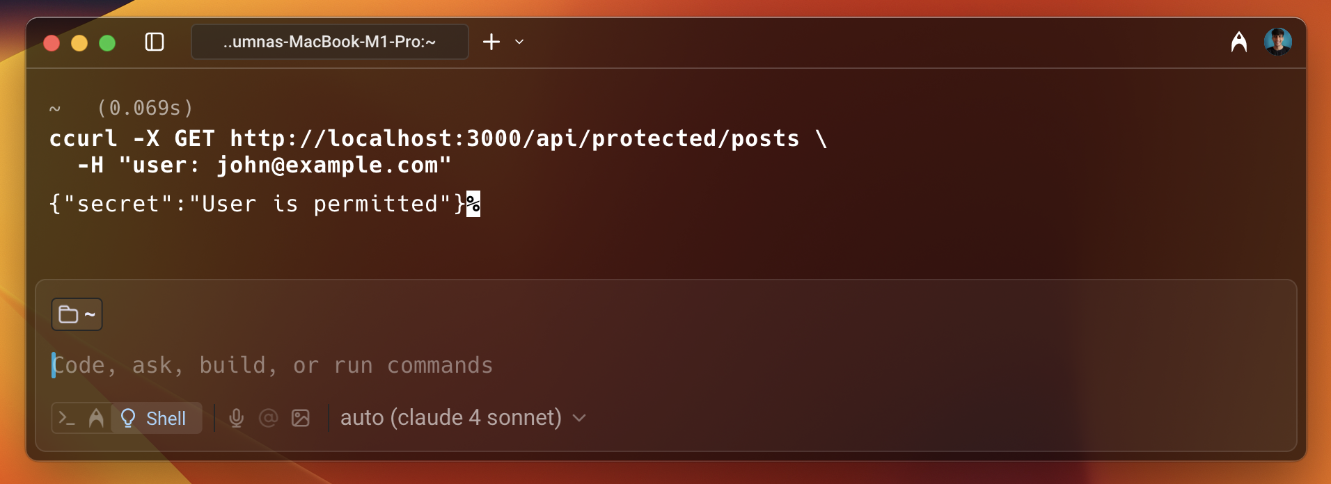 curl check access